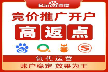 SEM竞价优化策略：成功案例解析